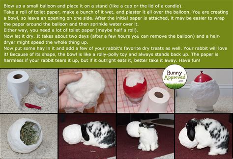 Or try experimenting with twine, stretchy headbands or even a. DIY Rabbit Toy Ideas - Bunny Approved - House Rabbit Toys ...