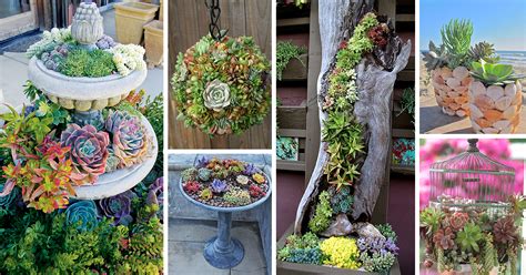 Garden Balcony Yard Decorative Hanging Basket Cacti Succulent Planter Color Pink 【2022春夏新色】