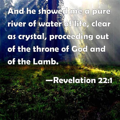Revelation 221 And He Showed Me A Pure River Of Water Of Life Clear