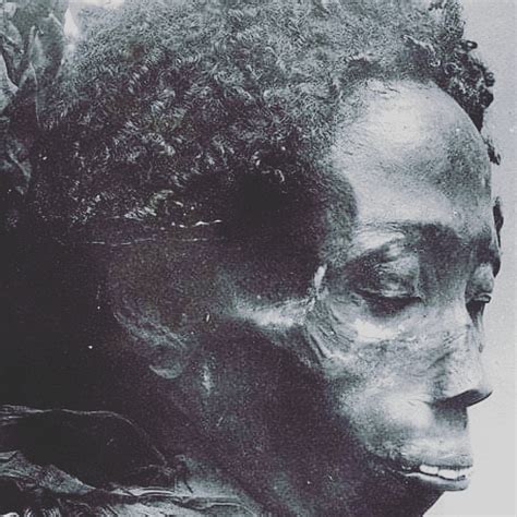 2000 Year Old Mummy Still Has Natural Hair Real Egyptians Were Black