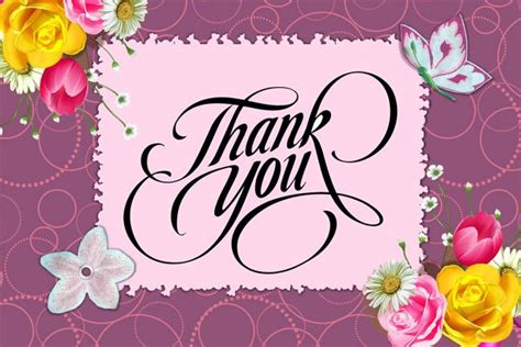 243 Best Thank You Messages Wishes With Images List Bark