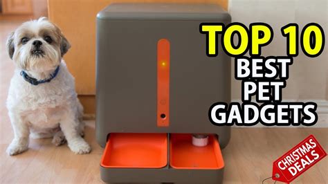 Top 10 Best Pet Gadgets For Dogs And Cats - YouTube