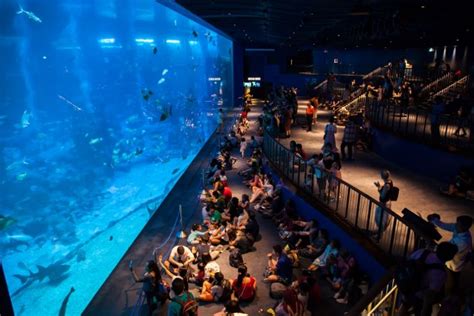 50 Best Aquariums In The World 2023 Tourscanner Eu Vietnam Business