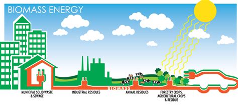Random World: Biomass Energy Importance in future