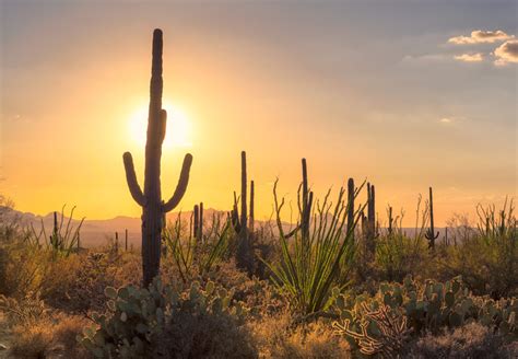 Desert Sunrise Raising Arizona Kids Magazine