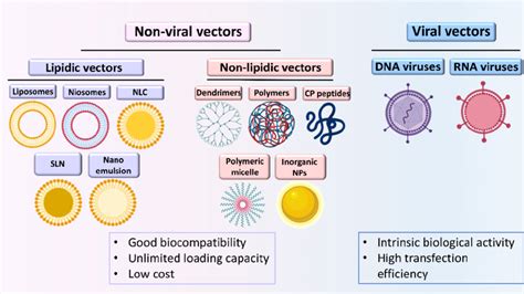 Viral And Non Viral Carriers Of Nucleic Acids Nlc Nanostructured