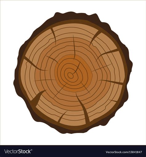 Cross Section Of Tree Stump Or Trunk Wood Cut Vector Image
