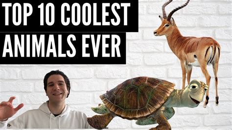 Top 10 Coolest Animals Ever Youtube