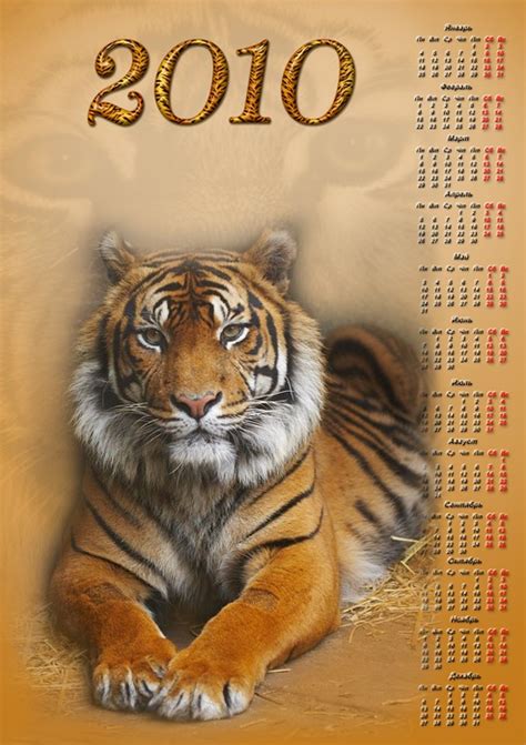 Водяной Тигр Картинки Китайский Календарь Telegraph