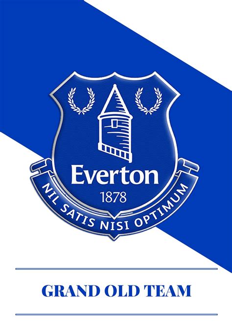 Everton shark high definition desktop wallpapers. Everton FC Wallpapers (68+ pictures)