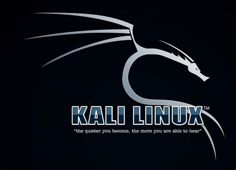 Kali Linux Vs Ubuntu Rekameta