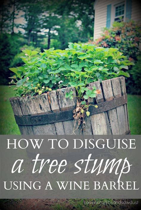 We perform a wide range of tree services including tree removal, tree planting, tree trimming, stump grinding, tree fertilization and arborist reporting and consulting in the greater toronto area. Have an old tree stump? Disguise it with this fix! | "DIY ...