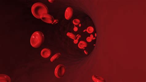 Top 16 Blood Clots In Urine Uti 2022