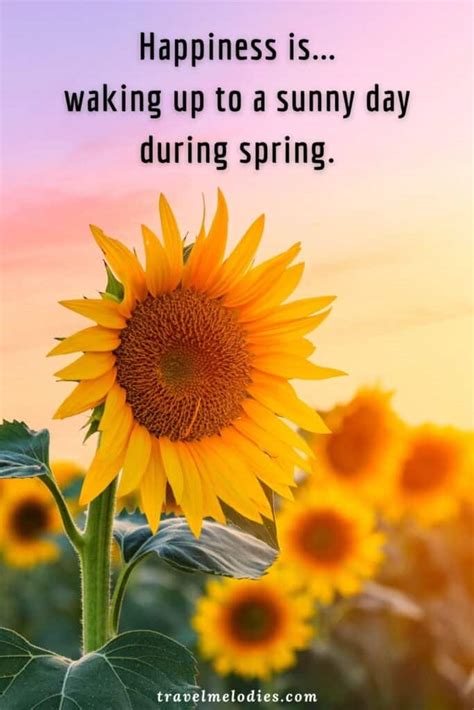 Beautiful Flower And Spring Quotes To Celebrate The Soulful Season