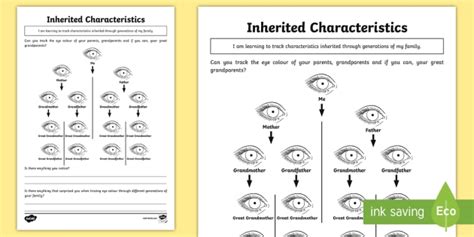 Inheritance Homework Worksheet Worksheet Teacher Made