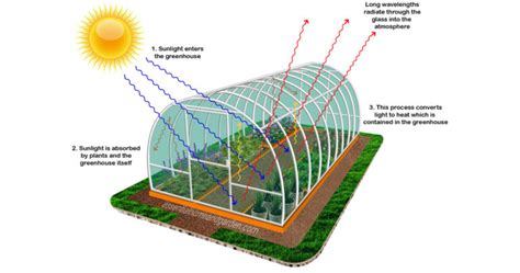 How Does A Greenhouse Work Essential Home And Garden