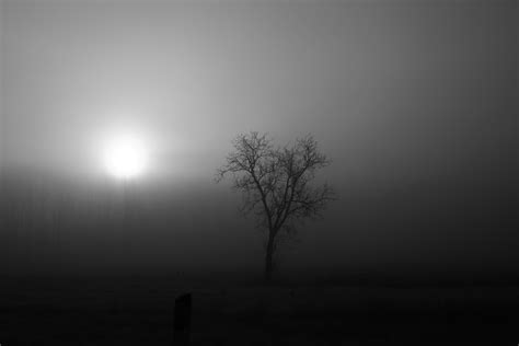 Free Images Nature Light Black And White Fog Sunrise Mist
