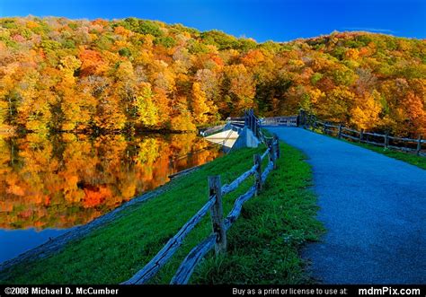 Laurel Hill Lake Dam And Causeway In Autumn Picture Laurel Hill State