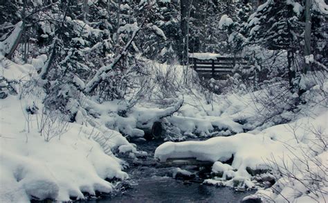 Free Photo Snowy Stream Brook Snow Stream Free Download Jooinn