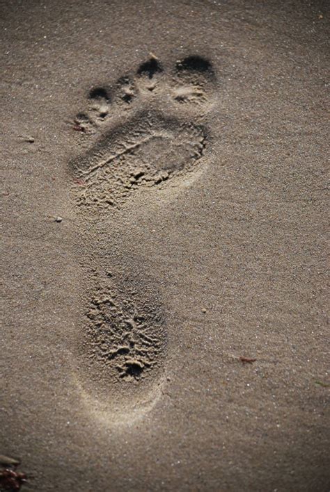 Beach Sand Rock Texture Footprint Image Free Photo