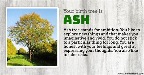 Your Birth Tree Ash Tree
