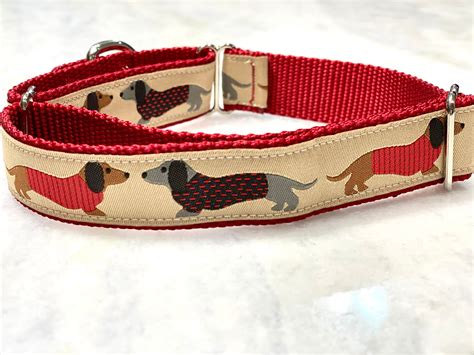 Dachshund Dog Collar Martingale Or Traditional Buckle 1 Inch Etsy Uk