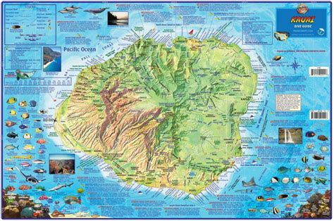 Kauai Dive Map Laminated Poster Frankos Maps