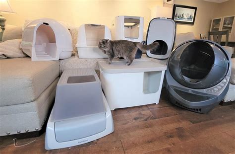 The 8 Best Dog Proof Cat Litter Boxes In 2024