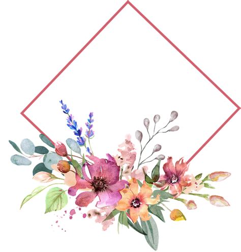 Khung Những Bông Hoa Trang Trí Miễn Phí Vector Hình ảnh Trên Pixabay