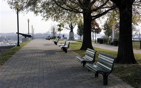 Wallpaper Trees City Park Bench Walkway Estate Tree Public