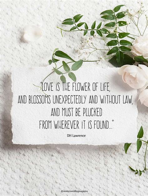 Romantic Wedding Day Quotes That Will Make You Feel The Love Modern Wedding