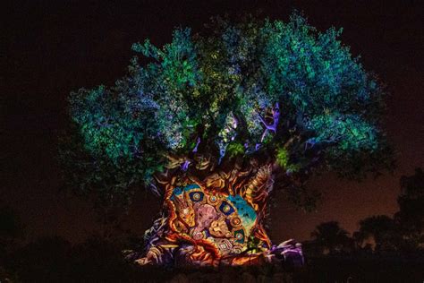 The Lion King Tree Of Life Awakening Debuts At Disneys Animal Kingdom