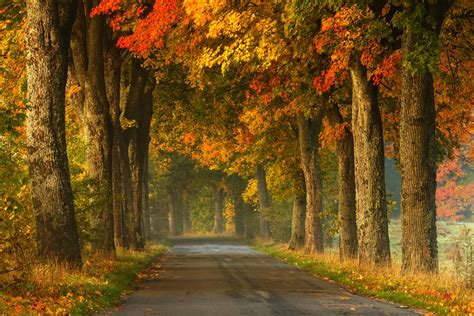 Top 5 Fall Foliage Drive In Ct