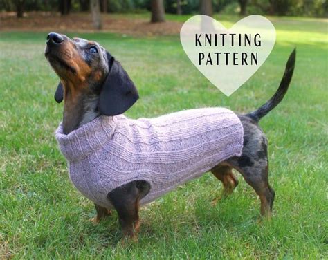 Knitting Pattern Dog Hat Dachshund Hat Pet Clothes Pet