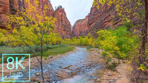 8k Nature Wallpapers Slideshow Zion National Park Photography