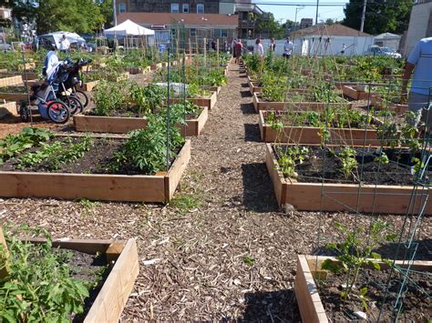 Community Garden Design Chicagos Urban Farming Movement