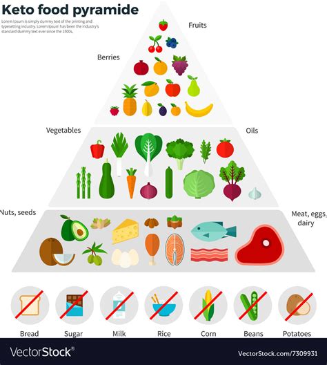 Healthy Eating Concept Keto Food Pyramide Vector Image Keto Food