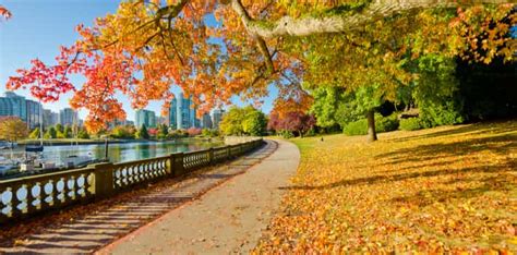 With the approach of autumn, vancouver residents are remembering what it feels like to have to choose not one, but two, or sometimes even three separate outfits for one single day. 2019 Canada Autumn Forecast | Il Marco Polo