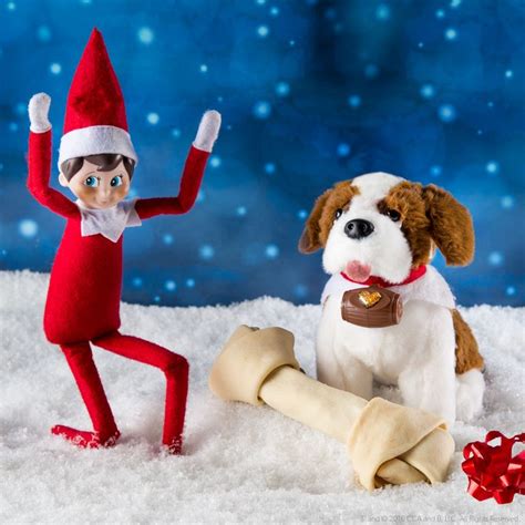 17 Best Images About Meet The Elf Pets On Pinterest Elf On The Shelf