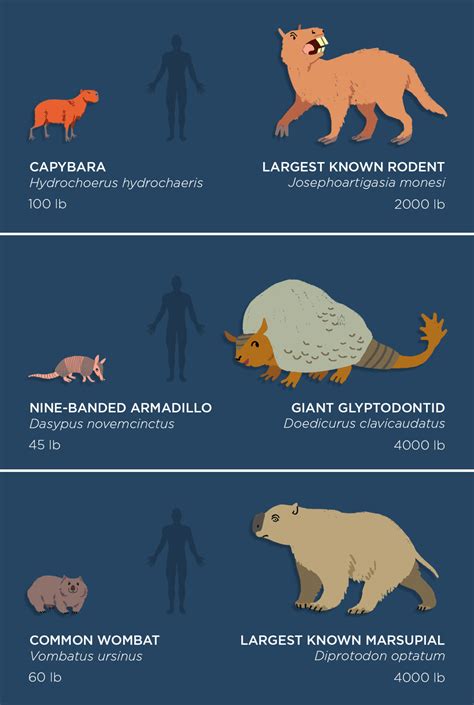 Extinct Animals In Comparison With Modern Earth Chronicles News