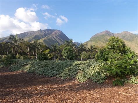 See the map of the campground, and inside the cabins, kitchen and more! Camp Olowalu - UPDATED 2017 Campground Reviews (Maui ...