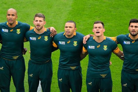 The composition of the springbok squad 2019. Marx makes Springbok training squad | Southern Courier