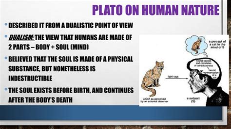 Ppt What Is Human Nature Powerpoint Presentation Free Download Id