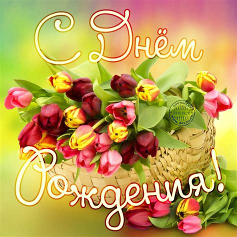 Мы собрали огромное количество запоминающихся и необычных поздравлений! Нежные поздравления женщине "с днем рождения" 🎂 (33 фото ...