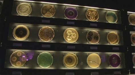 Step Inside The Micropia Zoo To See The Invisible World Of Microbes