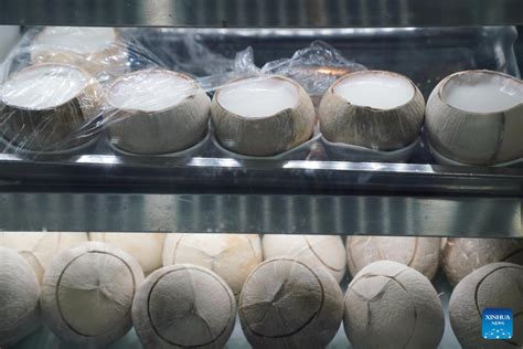 Economic Watch Southeast Asian Coconuts Gain Popularity In China Xinhua