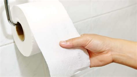 What Did People Use Before Toilet Paper Mental Floss