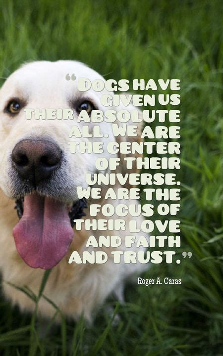 80 Beautiful Dog Quotes For Dog Lovers Planet Of Success