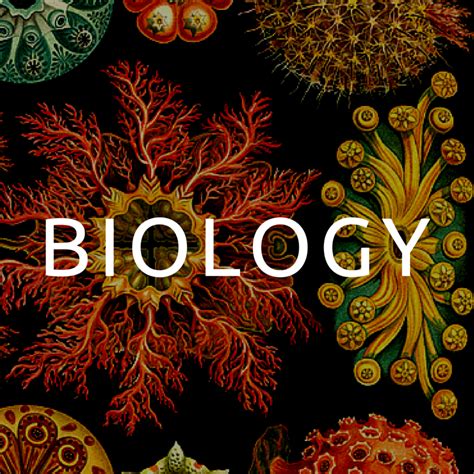 Articles Biology Research Guide Guides At Depaul University