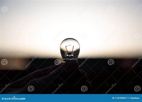 La Main Tient Une Petite Ampoule Image Stock Image Du Lumière Main